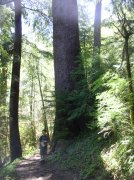 5.14.06 Indian Beach Mother's Day 060 